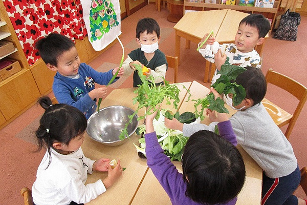 野菜の大切さについて知りました