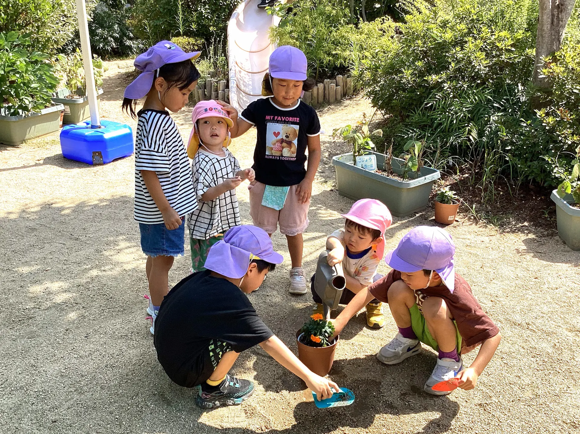 泉北園は、保育園を「昼間の家庭」とし、温かく愛情たっぷり、子どもたちを抱きしめて保育します