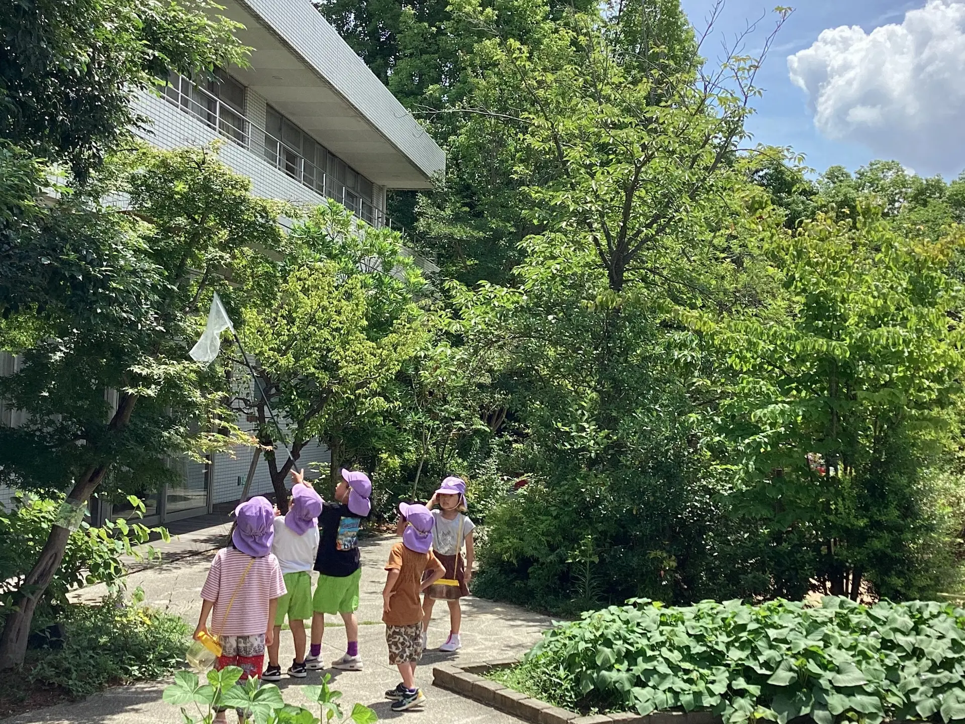 泉北園は、保育園を「昼間の家庭」とし、温かく愛情たっぷり、子どもたちを抱きしめて保育します