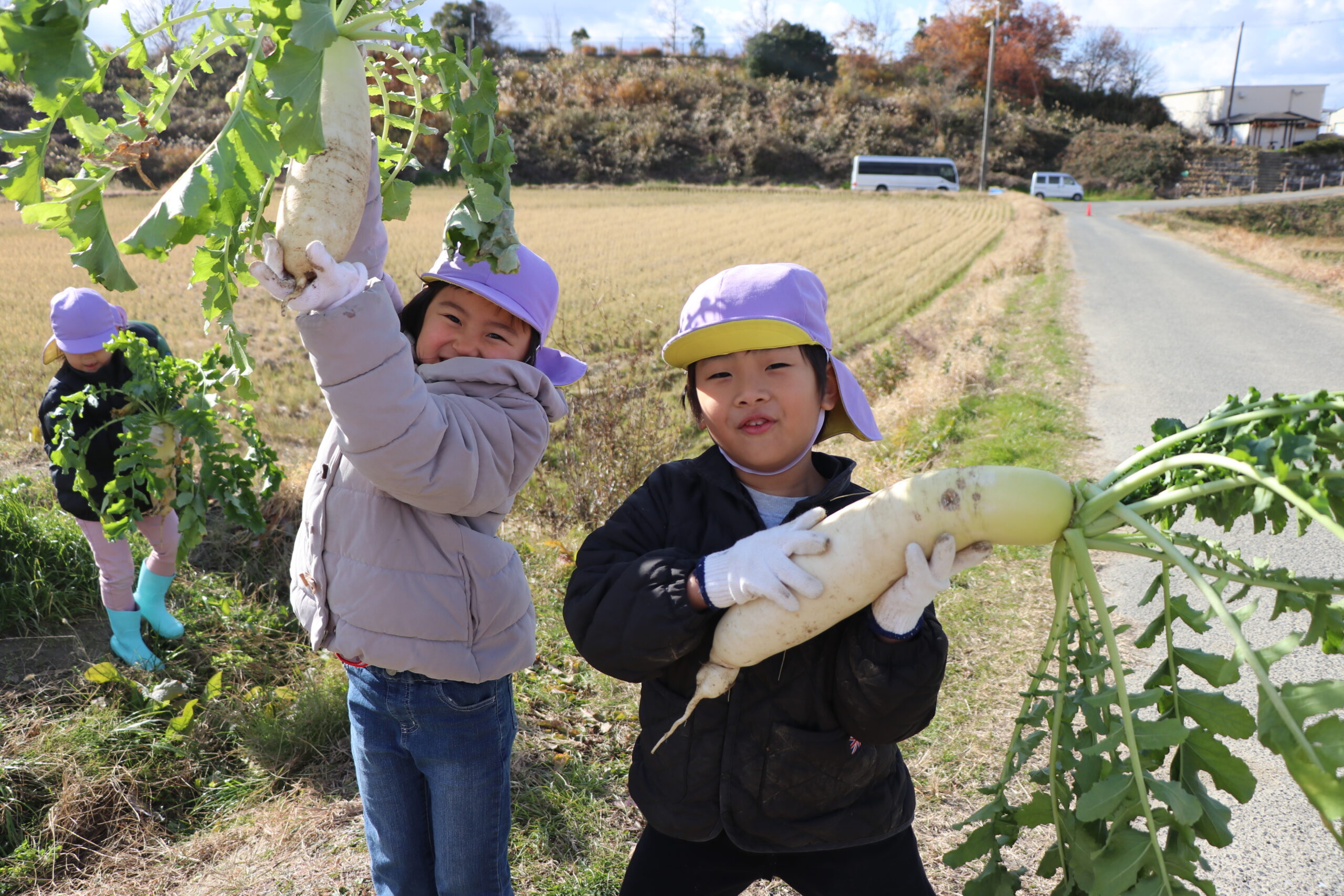 野菜の収穫体験をしました