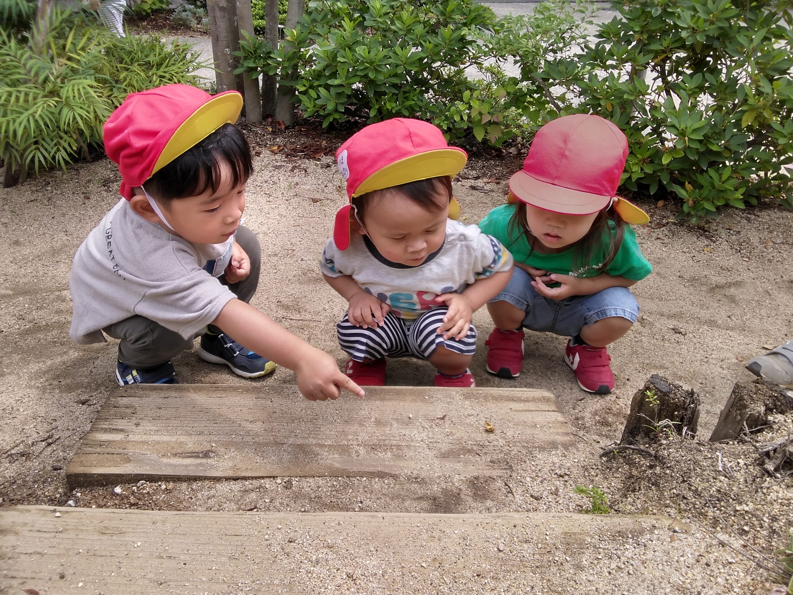 photo03