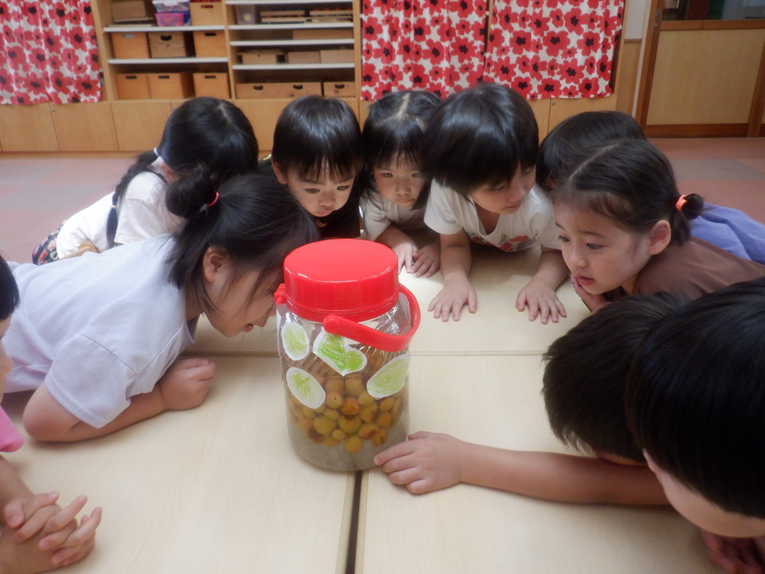 photo04