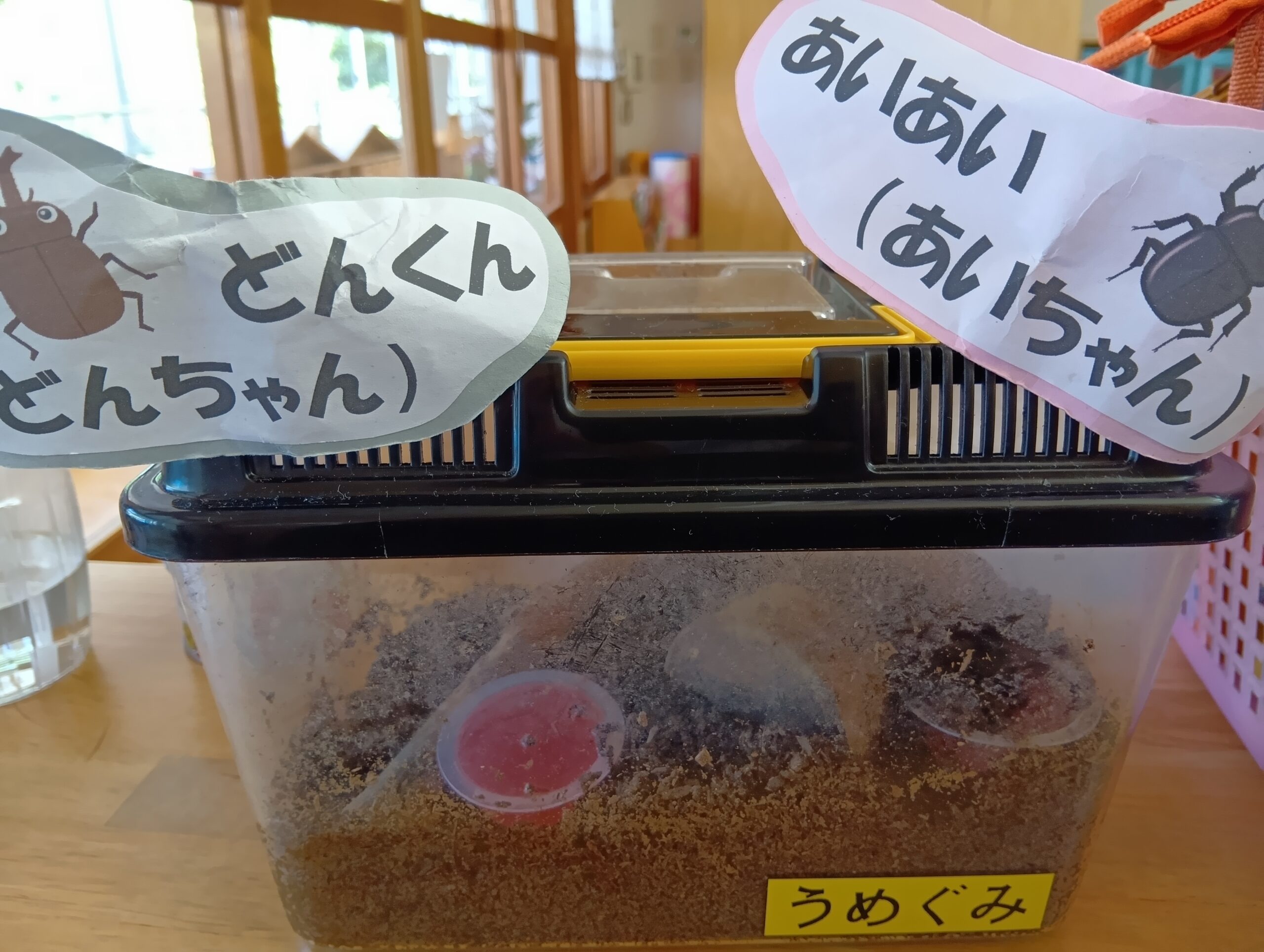 photo02