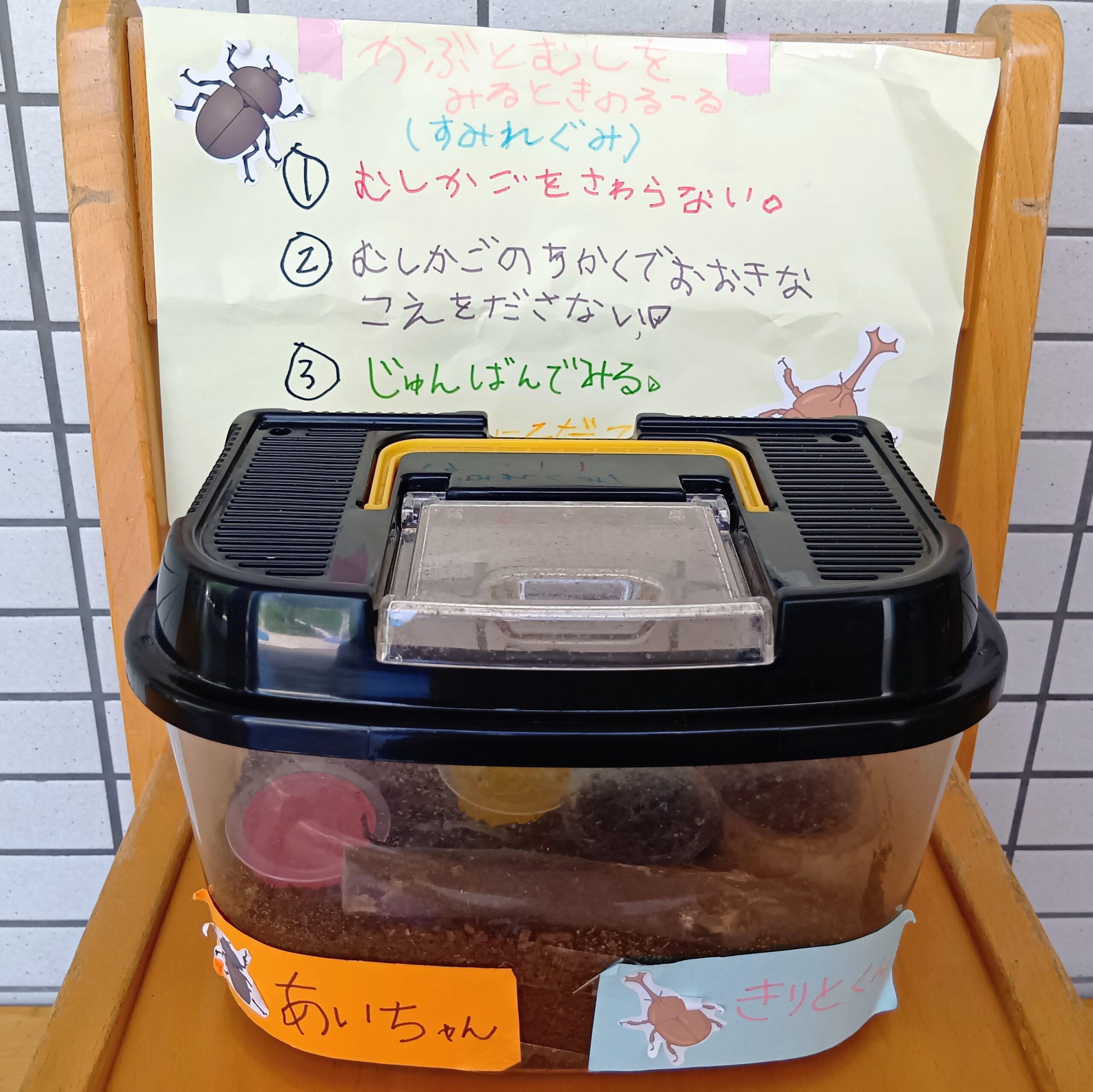 photo04