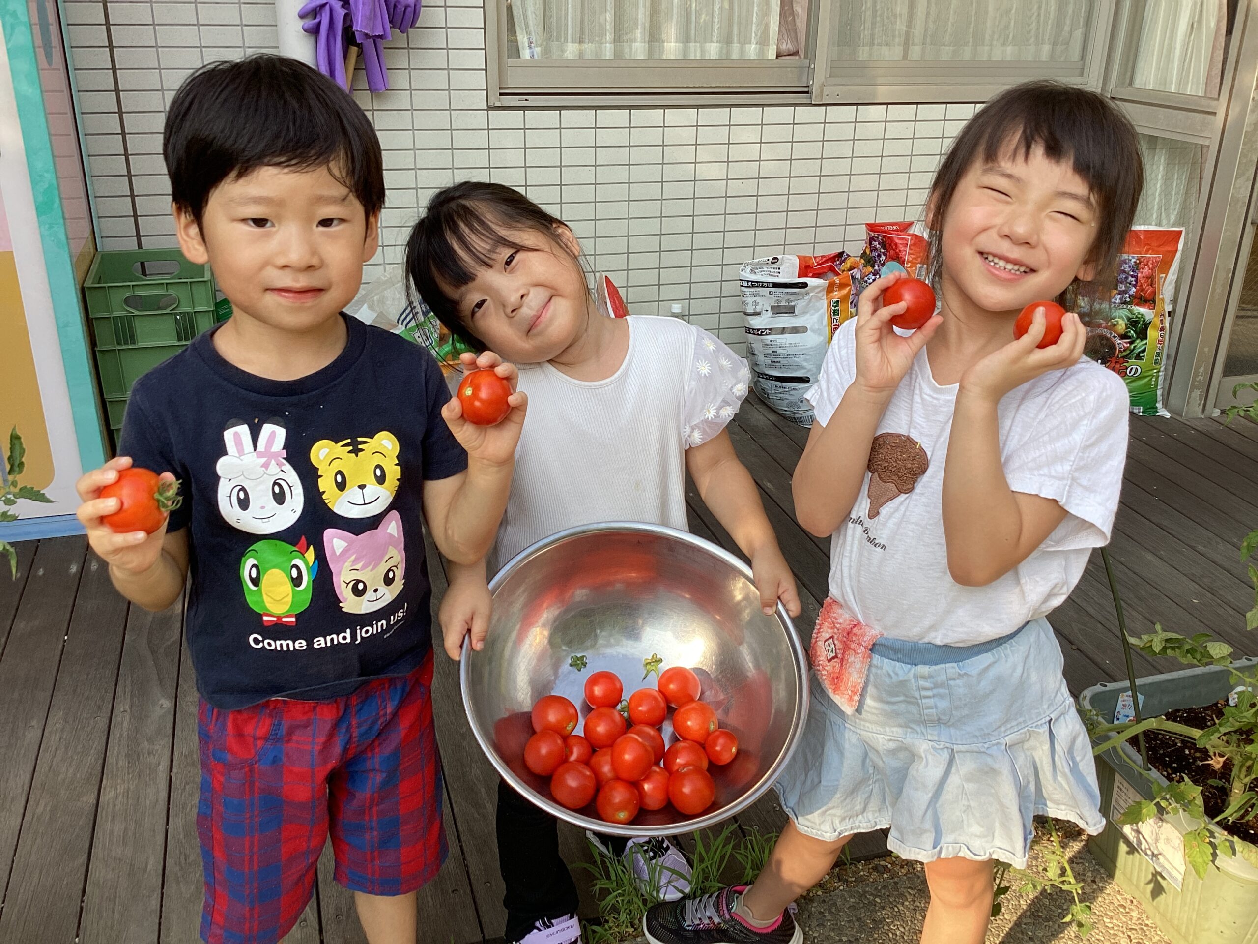 園庭で元気にあそびました